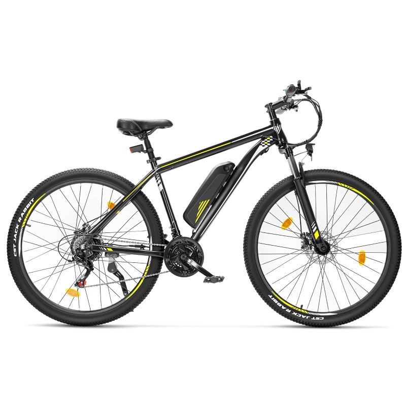 U1 EU Plug High-Step 29in 3613Ah 250W E-Bike