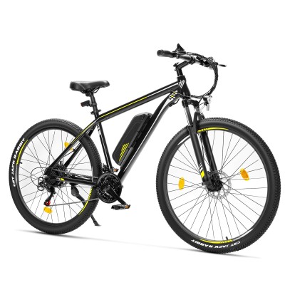 U1 EU Plug High-Step 29in 3613Ah 250W E-Bike