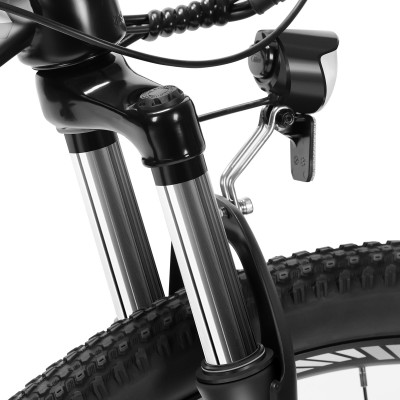 U1 EU Plug High-Step 29in 3613Ah 250W E-Bike