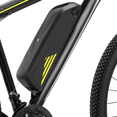 U1 EU Plug High-Step 29in 3613Ah 250W E-Bike