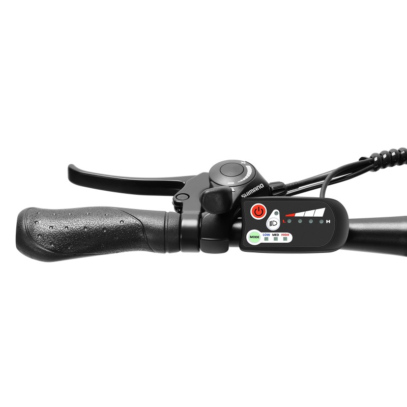 U1 EU Plug High-Step 29in 3613Ah 250W E-Bike