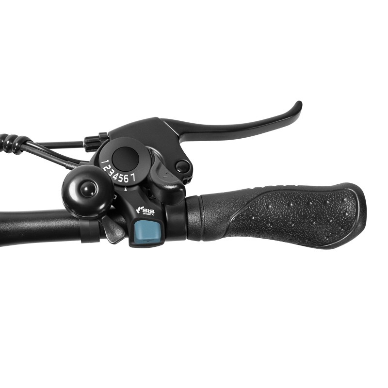 U1 EU Plug High-Step 29in 3613Ah 250W E-Bike