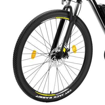 U1 EU Plug High-Step 29in 3613Ah 250W E-Bike