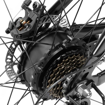 U1 EU Plug High-Step 29in 3613Ah 250W E-Bike