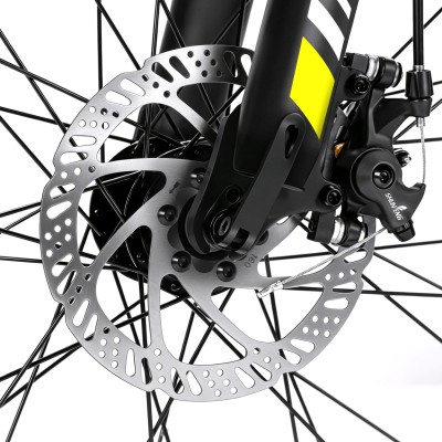 U1 EU Plug High-Step 29in 3613Ah 250W E-Bike