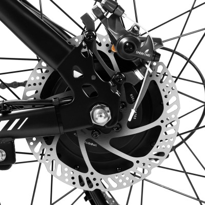U1 EU Plug High-Step 29in 3613Ah 250W E-Bike