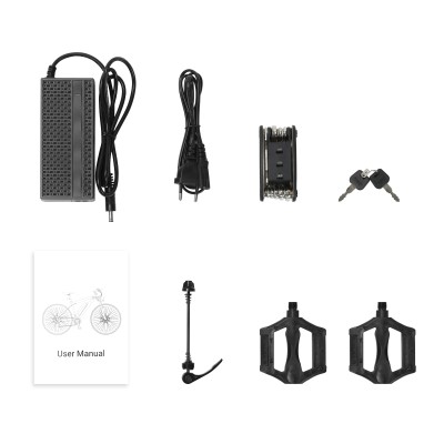 U1 EU Plug High-Step 29in 3613Ah 250W E-Bike