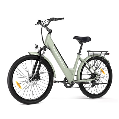 J1 Pro EU Plug  Hydraulic Brake 250W 36V15 6AH E-Bike