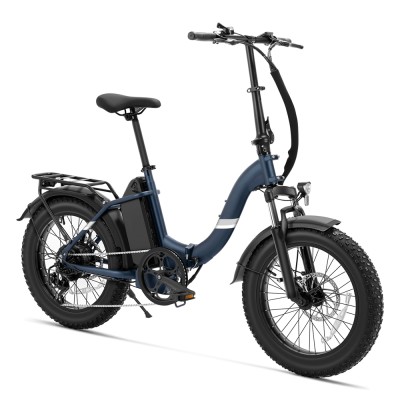 S2 Pro EU Plug 20in 48V15Ah E-Bike