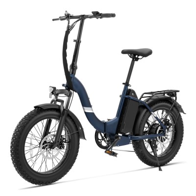 S2 Pro EU Plug 20in 48V15Ah E-Bike