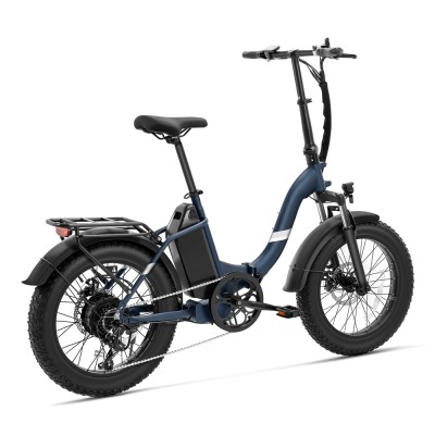S2 Pro EU Plug 20in 48V15Ah E-Bike