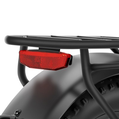 S2 Pro EU Plug 20in 48V15Ah E-Bike
