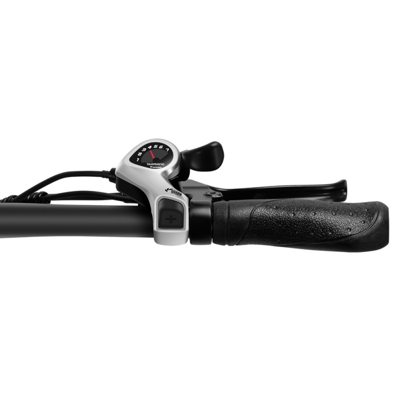 S2 Pro EU Plug 20in 48V15Ah E-Bike