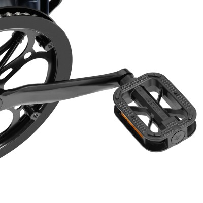 S2 Pro EU Plug 20in 48V15Ah E-Bike
