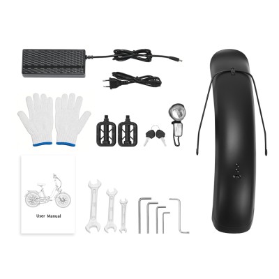 S2 Pro EU Plug 20in 48V15Ah E-Bike