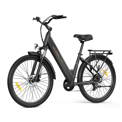 J1 EU Plug 36V 15 6Ah Battery 250W Motor E-Bike