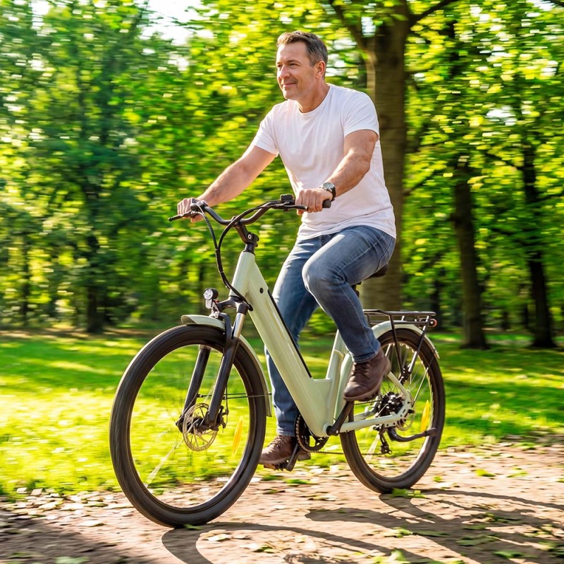 J1 Green EU Plug Step-Thru 36V15 6Ah 250W E-Bike
