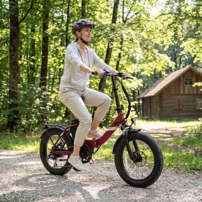 S3 Red EU Plug Step-Thru 20in 36V13Ah 250W E-Bike